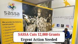 12,000 SASSA Grants Suspended – Act Now to Restore Payments!