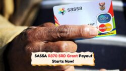 Are You Eligible for the September R370 SRD Relief? Millions Set to Benefit!